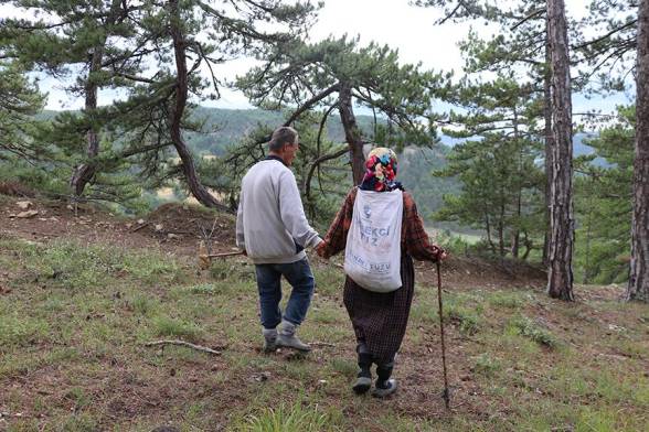 Göynük'te 40 Yıldır Engelli Oğluyla Çobanlık Yapıyor