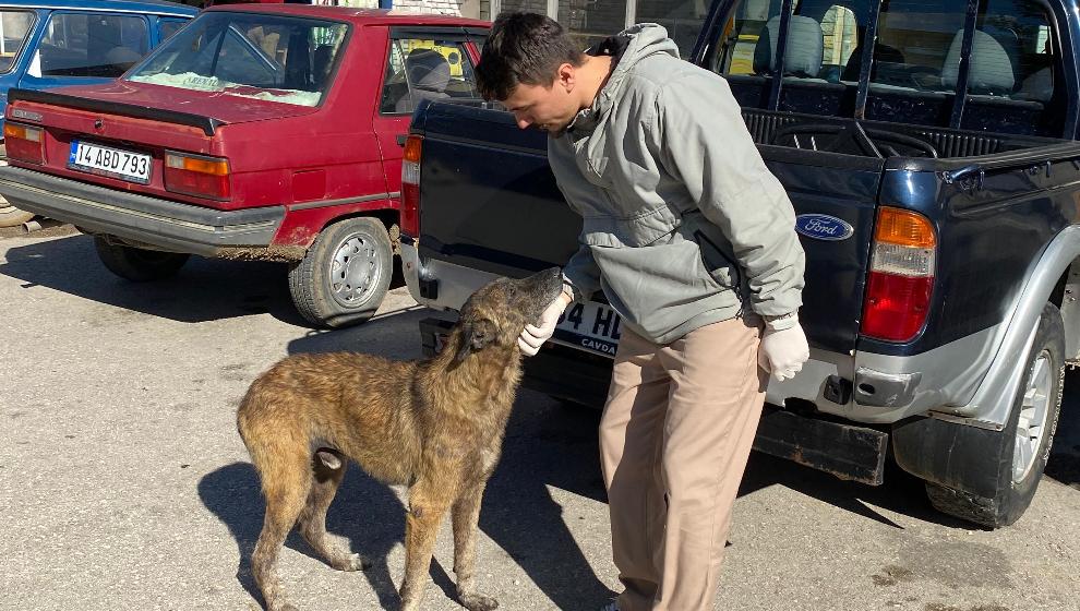 Bolu Belediyesi’nden Taşkesti’ye Hayat Kurtaran Dokunuş: Sokak Hayvanlarına Örnek Destek