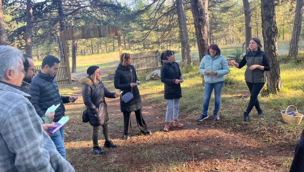 Doğa ve Gelecek İçin Harekete Geç: Bolu’da Öğretmenlere Orman Pedagojisi Eğitimi