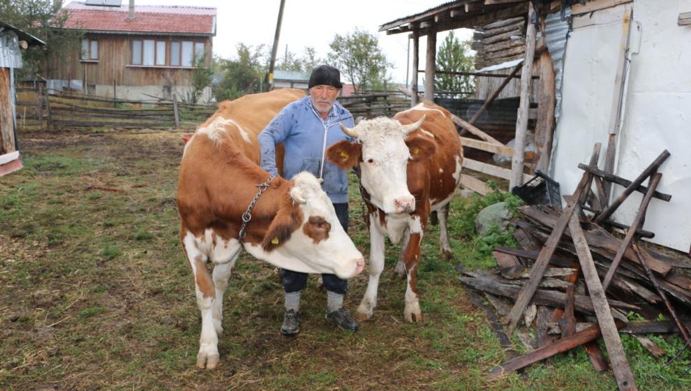 Süt Sığırcılığı Kredileri Yüzleri Güldürdü