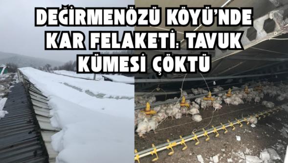 Değirmenözü Köyü'nde Kar Felaketi: Tavuk Kümesi Çöktü