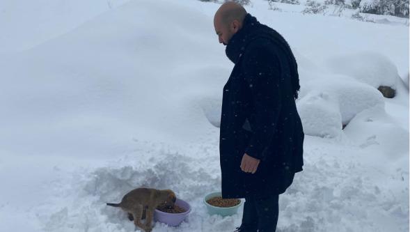 Göynük Belediyesi Sokak Hayvanlarını Unutmadı