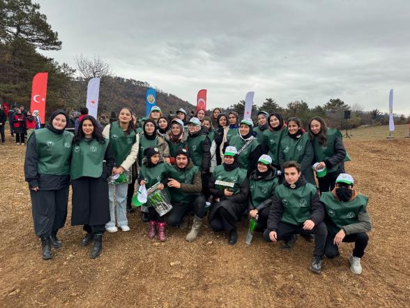 Göynük'te Yangın Yaraları Sarılıyor: 7'den 70'e Onlarca Kişi, 8 Hektar Alanda 8 Bin Fidan Dikti