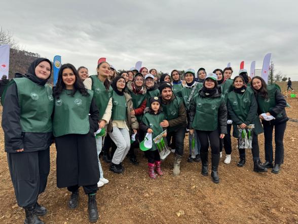 Göynük'te Yangın Yaraları Sarılıyor: 7'den 70'e Onlarca Kişi, 8 Hektar Alanda 8 Bin Fidan Dikti