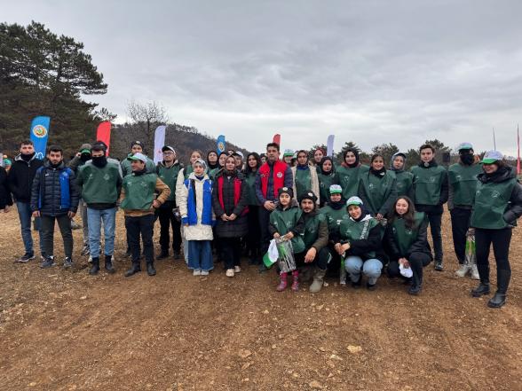 Göynük'te Yangın Yaraları Sarılıyor: 7'den 70'e Onlarca Kişi, 8 Hektar Alanda 8 Bin Fidan Dikti