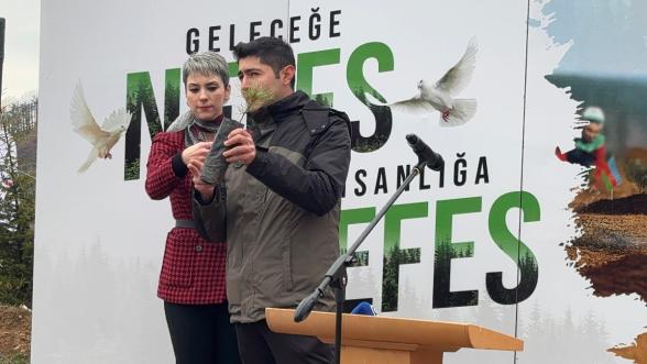 Göynük'te Yangın Yaraları Sarılıyor: 7'den 70'e Onlarca Kişi, 8 Hektar Alanda 8 Bin Fidan Dikti