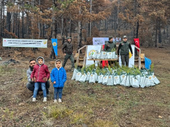 Göynük'te Yangın Yaraları Sarılıyor: 7'den 70'e Onlarca Kişi, 8 Hektar Alanda 8 Bin Fidan Dikti