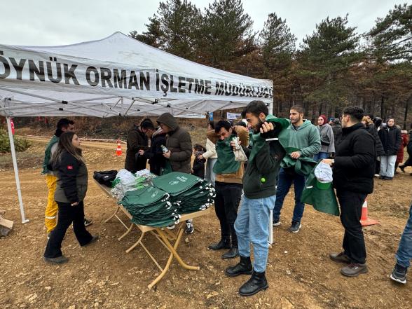 Göynük'te Yangın Yaraları Sarılıyor: 7'den 70'e Onlarca Kişi, 8 Hektar Alanda 8 Bin Fidan Dikti