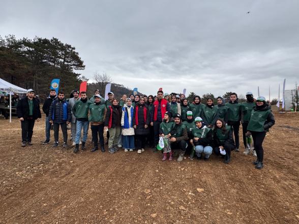 Göynük'te Yangın Yaraları Sarılıyor: 7'den 70'e Onlarca Kişi, 8 Hektar Alanda 8 Bin Fidan Dikti