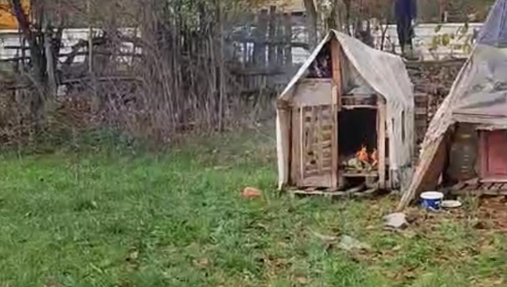 Bolu'da Sokak Köpeklerinin Kulübelerini Ateşe Veren Şahıs Tepki Gösteren Vatandaşa Bıçak Çekti