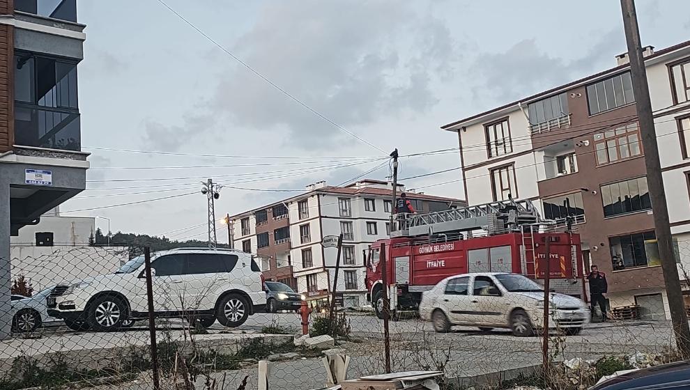 Göynük'te Elektrik Direğine Tırmanan Sokak Kedisi İtfaiye Tarafından Kurtarıldı