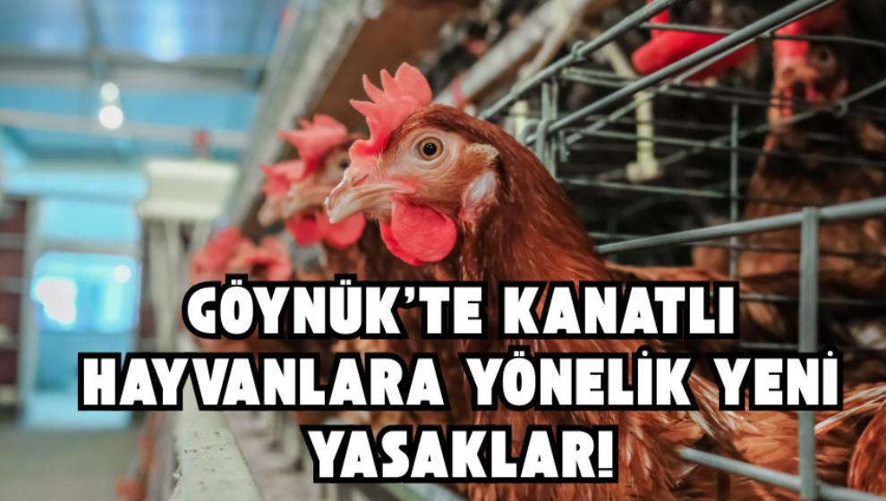 Göynük’te Kanatlı Hayvanlara Yönelik Yeni Yasaklar!