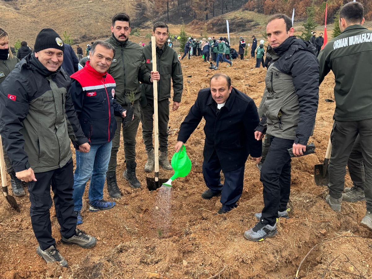 Göynük'te Yangın Yaraları Sarılıyor: 7'den 70'e Onlarca Kişi, 8 Hektar Alanda 8 Bin Fidan Dikti