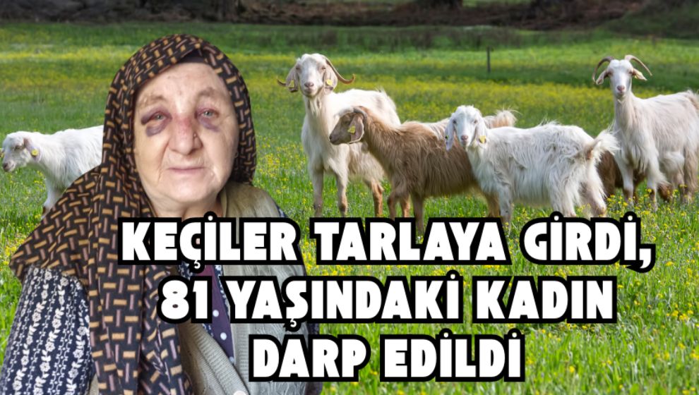 Keçiler Tarlaya Girdi, 81 Yaşındaki Kadın Darp Edildi