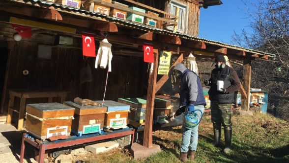 Arılar İçin Büyük Mücadele: Varroa'ya Karşı 5 Yıllık Zafer Hikâyesi Devam Ediyor!