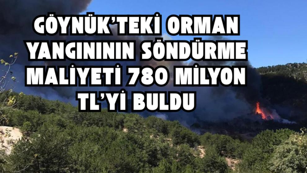 Göynük'teki Orman Yangınının Söndürme Maliyeti 780 Milyon TL'yi Buldu