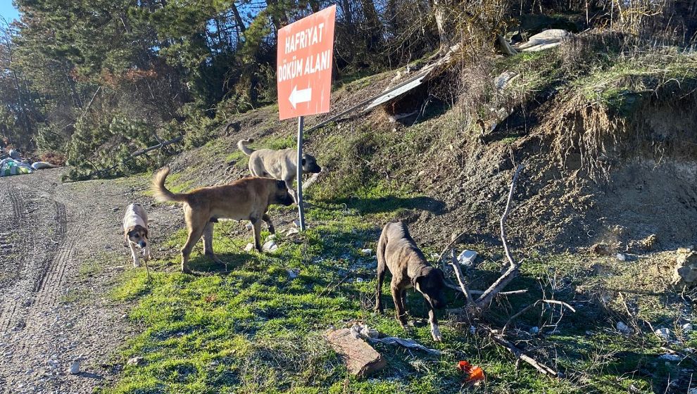 Mudurnu'nun Can Dostlarına Bolu Belediyesi'nden Destek